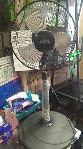 Cascade 10" StandFan